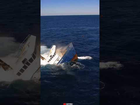 Why are buoys drop in the sea? #shorts
