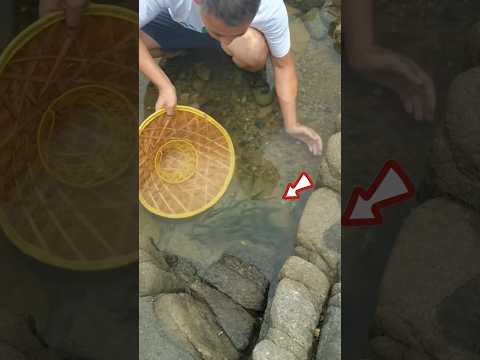 Everyone should catch fish like this.