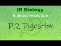 Exocrine Glands and Digestion Concepts