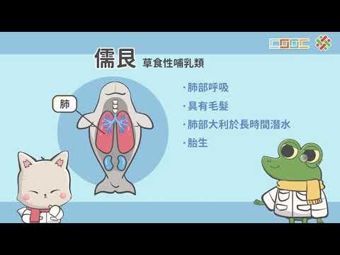 【觀念】動物界-脊椎動物2(鳥類、哺乳類) - YouTube(9:32)