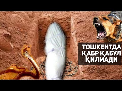 БУ АЁЛНИ ҚАБР ҚАБУЛ ҚИЛМАДИ ИЛОН ВА ИТЛАРГА ЕМ БЎЛДИ