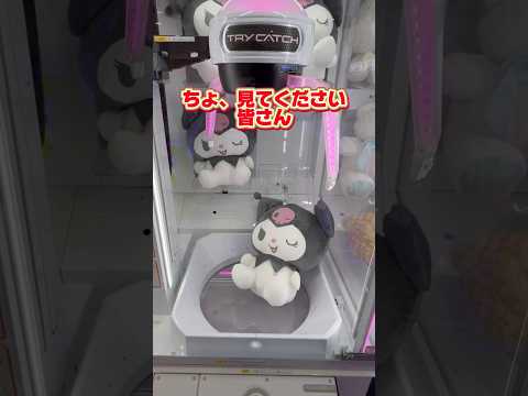 獲得口ないの全く意味がわからん💦みんなコメント待ってる#クレーンゲーム #クレーンゲーム攻略 #確率無視 #ゲームセンター #出禁 #ぬいぐるみ #クロミ #はたらく細胞 #白血球さん