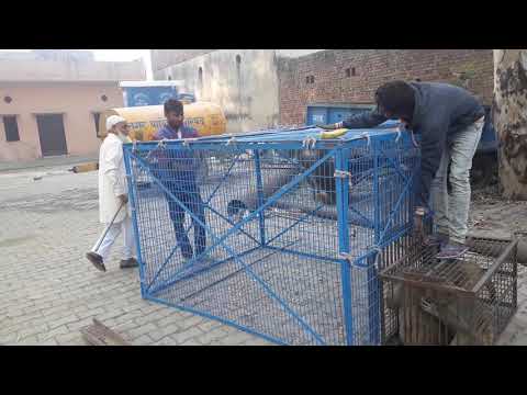 How To Trap Monkeys | Man Traps And Catches Many Monkeys Monkey Trap Skill