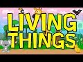 Understanding Living Things