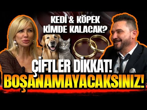 BOŞANAMAYACAKSINIZ! EVDEKİ KEDİ & KÖPEK KİMDE KALACAK? - AV. TALAT NİYAZİ ARMAN I BAŞAK ÇOKAN