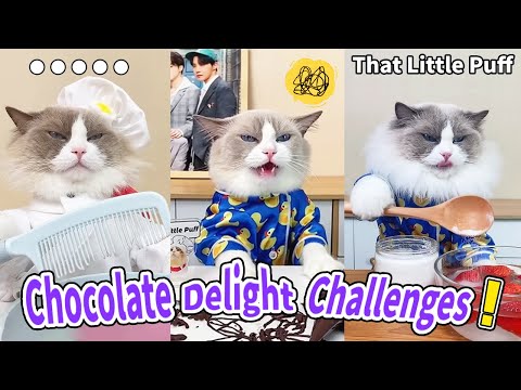 🍫Meow Chef: Chocolate Recipes You Can't Imagine! | That Little Puff