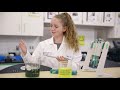 Mrs. Lewis's Career Tech Program Insights