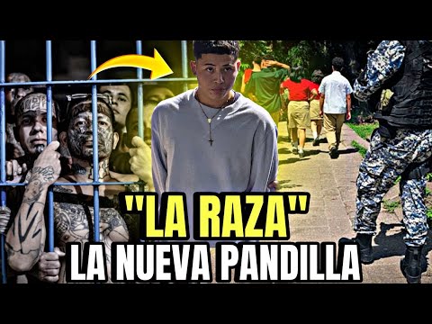Revelaciones Impactantes y Pruebas🤯 Menores de edad capturados por crear nueva PANDILLA