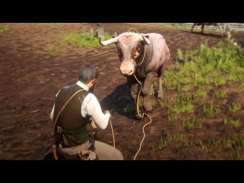 PENSO QUE ROBAR TOROS ERA FACIL | RED DEAD REDEMPTION 2