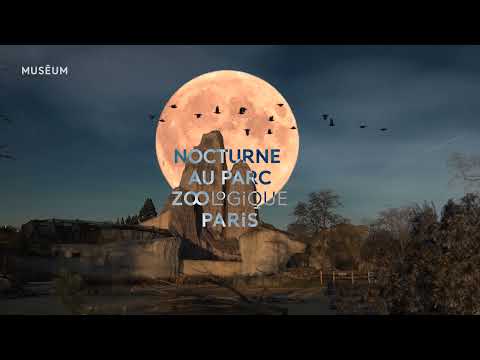 Nocturnes 2021 au Parc zoologique de Paris