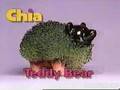 Chia Pets: Unique Features and Types