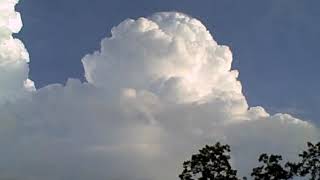 A July 2008 thunderstorm