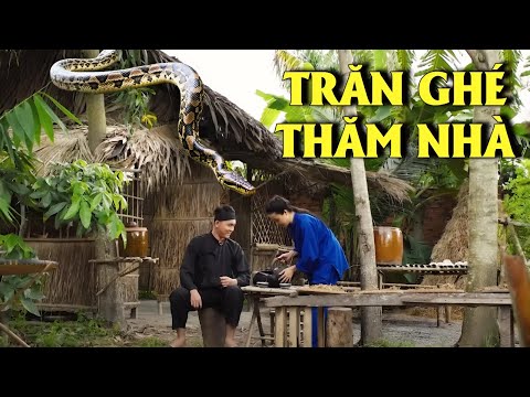 TRĂN GHÉ THĂM NHÀ | CỔ TÍCH VIỆT NAM MỚI 2025 | CỔ TÍCH VIỆT NAM HAY | CỔ TÍCH NƯỚC NAM 2025