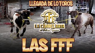 A SI LLEGARON LOS TOROS DE RANCHO LA CANDELARIA A LA MAGDALENA PETLACALCO!!