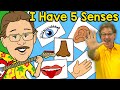 Understanding the Five Senses