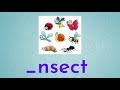 Understanding Insects