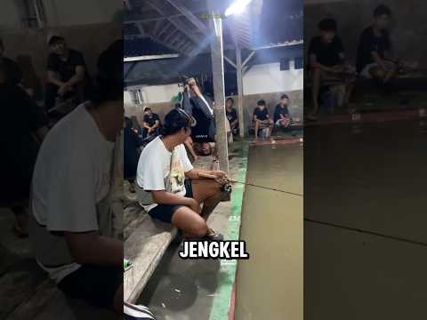 Mancing jackpot sambil recall2.. 🤣🤣