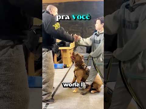ESTE CACHORRO ATACOU ESTE HOMEM E O PIOR ACONTECEU