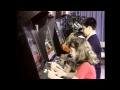 Evolution and Impact of Video Games