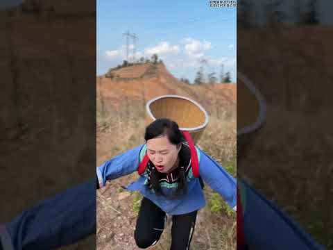 #我的乡村生活 #法网恢恢疏而不漏#劇情#生活#情感#shorts