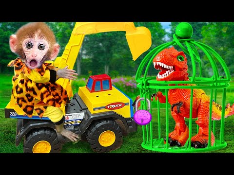 Baby BiBon monkey locks dinosaur in cage | Animals HT