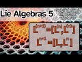 Lie Algebras Concepts and Properties