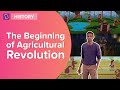 Agricultural Revolution Concepts