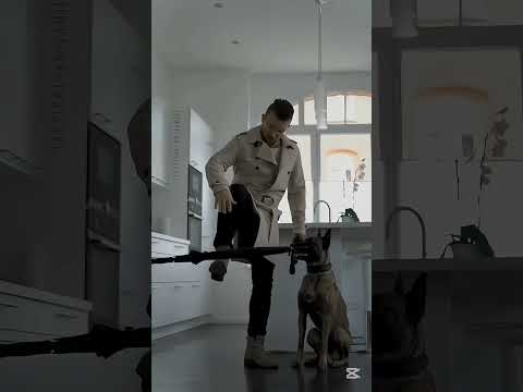#usa🇺🇸 #k9trainer #dog #dogsoftiktok #trending #trainingdogs #k9 #tactical #viralshorts #fyp