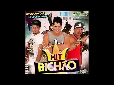 Hit Bichão - Volume 3 - CD Verão 2014