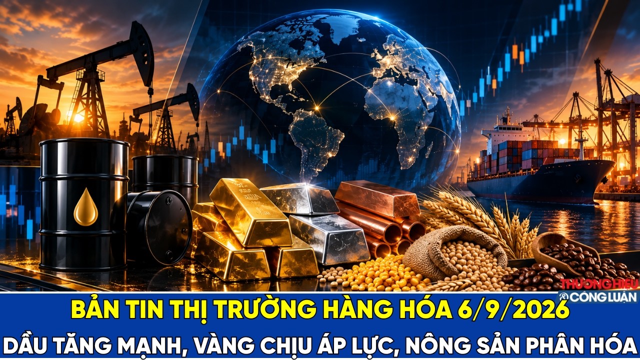 Bản tin thị trường hàng hóa 6/9/2026: Dầu tăng mạnh, vàng chịu áp lực, nông sản phân hóa