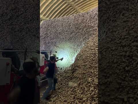 It’s a spudslide! #farming #potato