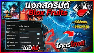 แจกสคริปต์ Blox Fruits มือถือ ล่าสุด⚡UPDATE ไม่โดนแบน ไม่มีคีย์ ออโต้ทำทุกอย่าง