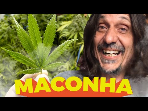 MACONHA E A VANGUARDA BRASILEIRA - EDUARDO BUENO