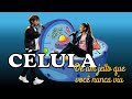 Estrutura e Funções das Células