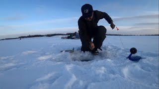 видео