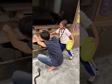 #viralvideo #funny #เทรนวันนี้ #automobile #youtubeshorts #comedy #ละครสั้น