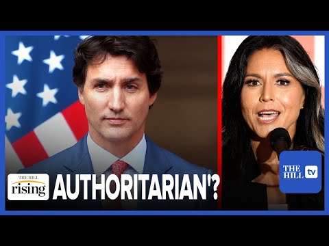 Tulsi Gabbard Defends Jordan Peterson, BLASTS Trudeau's Govt. As 'Increasingly Authoritarian,'