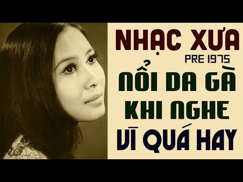 VỀ ĐÂU MÁI TÓC NGƯỜI THƯƠNG - 30 Tuyệt Phẩm Nhạc Xưa Nổi Da Gà Khi Nghe Lại Vì Quá Hay