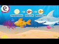 Exploring the Food Chain for Kids