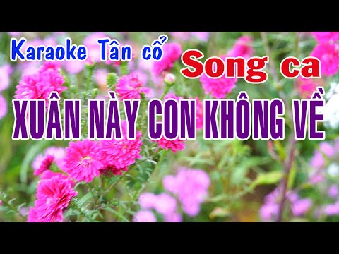 Karaoke tân cổ XUÂN NÀY CON KHÔNG VỀ 2 – SONG CA [Nhạc: Trịnh Lâm Ngân – Lời vc: Nancy Phạm]