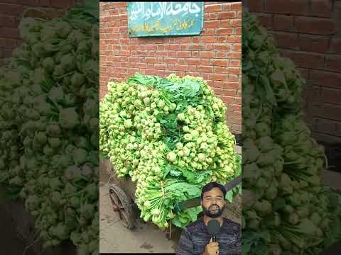 बाजार में बिकने वाली सब्जियां, देखिए सच्चाई