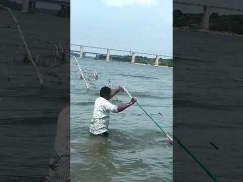Hook fishing🎣 catching big rohu fish in the river