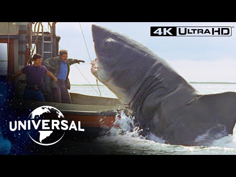 Final Face-Off With the Shark in 4K Ultra HD