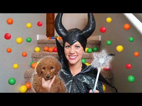 Maleficent Uses MAGIC And Gets A Cute Puppy!