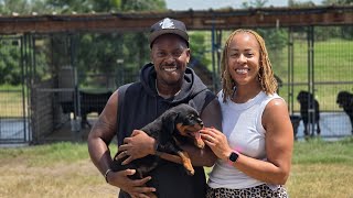 The KING is here.... Butler Kennels Rottweilers 