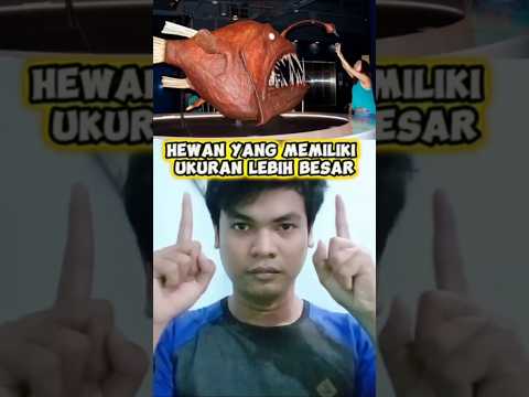 HEWAN-HEWAN YANG MEMILIKI UKURAN LEBIH BESAR