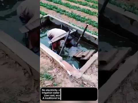Smart Way to Use Irrigation Water Without Machines! ๐ฑ๐ง