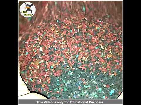 Waste செப்பல்ஸ என்ன பண்ணுவாங்க !!! #facts #factsmarathon