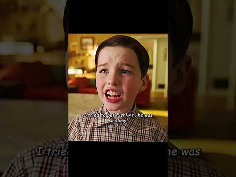 Sheldon cooper, spokenenglish #shortsvideo #sheldon #english #education #reels #shorts #series