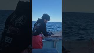 how to clean gummy shark fishing  #new #fishing #sharksquad#fish#seafoodprep#viral #new#ocean#shorts
